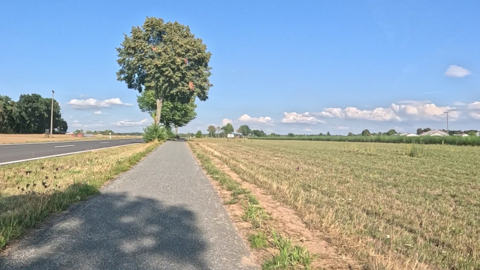 Zäh angefangen, dann immer noch etwas zusetzen